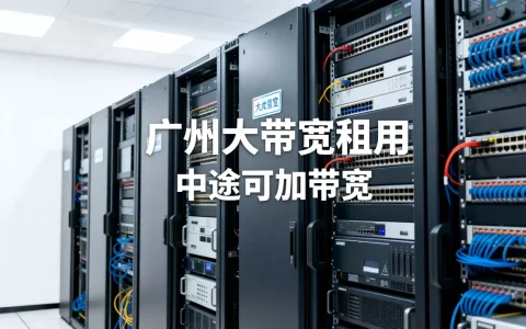 广州大带宽租用中途能加带宽吗？