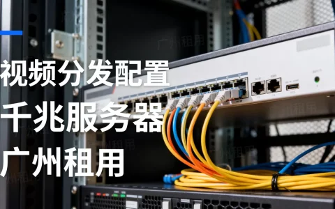 广州千兆服务器租用视频分发怎么配置，有哪些？