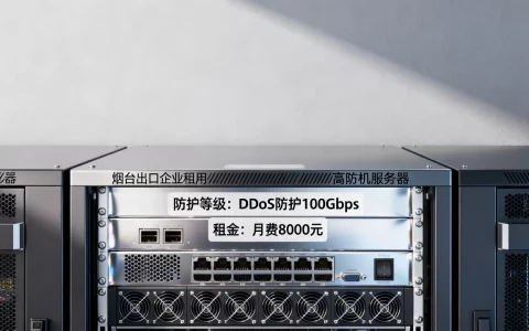 烟台出口企业租高防服务器防护等级怎么定？，多少钱？