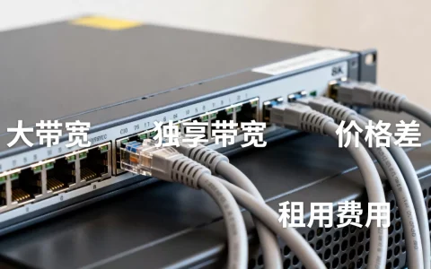 合肥大带宽和独享带宽价格差在哪，大带宽租用多少钱？