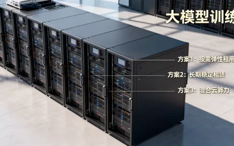 上海大模型训练场景算力租用方案有哪些，怎么选？