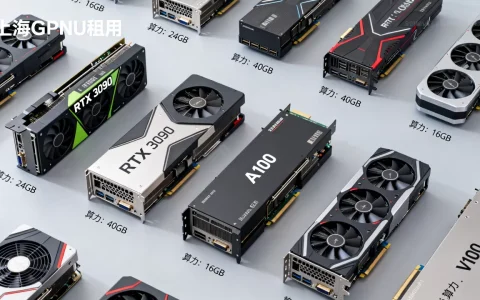 上海GPU租用有哪些显卡型号与算力档位，怎么选？