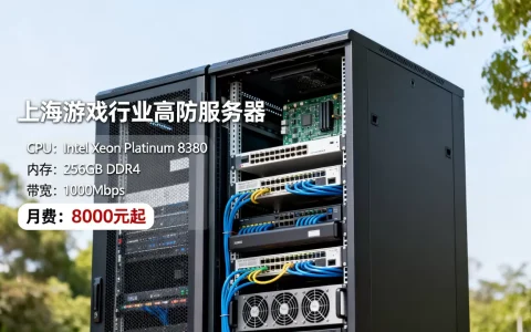上海游戏行业高防服务器配置怎么选？，多少钱