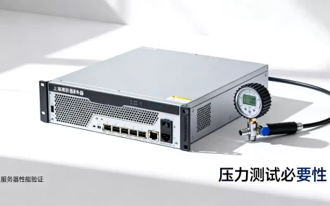 上海高防服务器租用前要不要做压力测试？