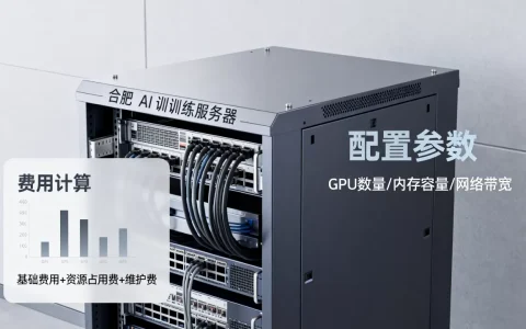 合肥AI训练服务器租用费用怎么算出来的，多少钱