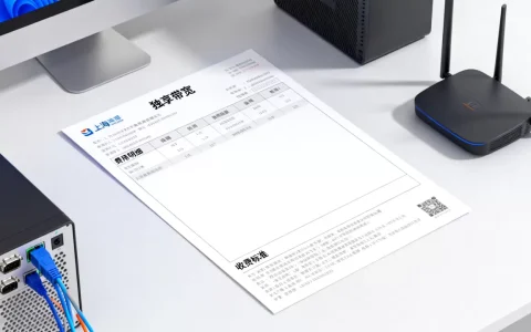 上海独享带宽费用账单里该看什么，怎么收费？