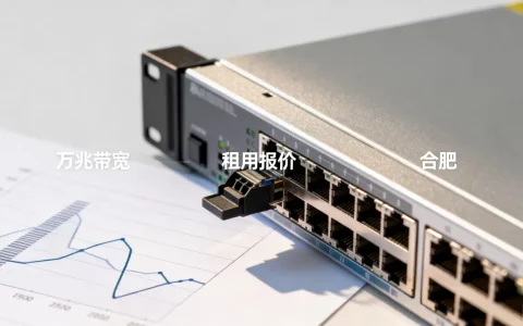 合肥万兆带宽租用报价差异在哪