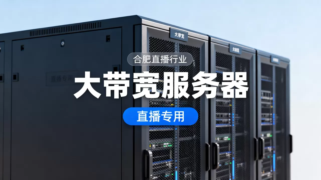 合肥直播行业大带宽服务器租用方案 合肥直播行业大带宽服务器租用方案