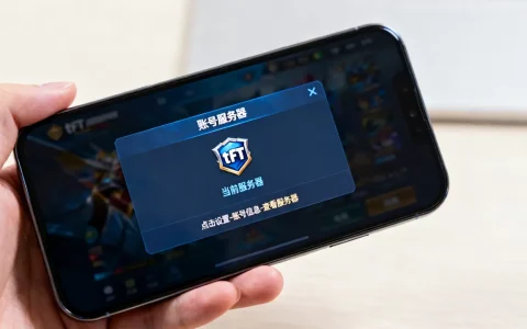 tft怎么看账号本身是哪个服务器，账号服务器怎么查