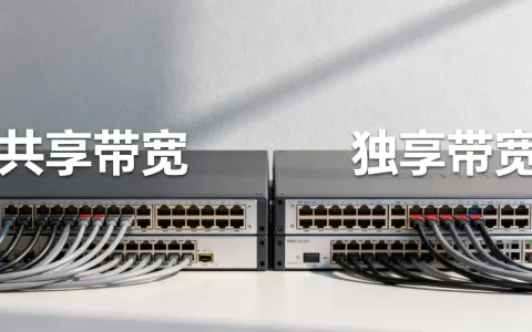 合肥共享带宽和独享带宽到底该怎么取舍，哪个好？