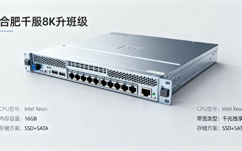 合肥千兆服务器租用配置要点有哪些？，怎么选才划算？