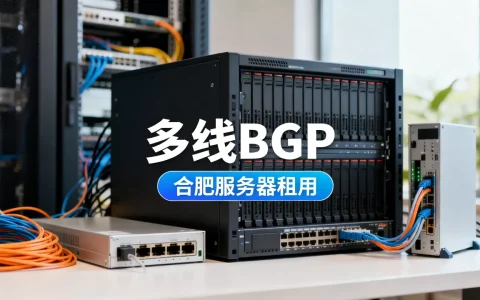 合肥服务器租用该不该选多线BGP？，多线BGP怎么选？