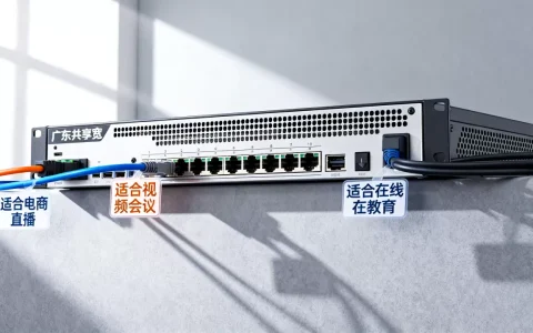 广东共享带宽服务器适合哪些业务，怎么收费