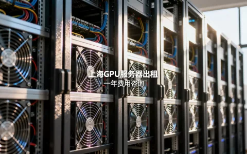 上海gpu服务器出租一年多少钱