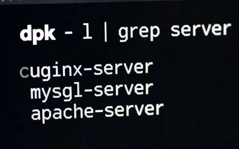 查看linux上面是安装了哪些服务器