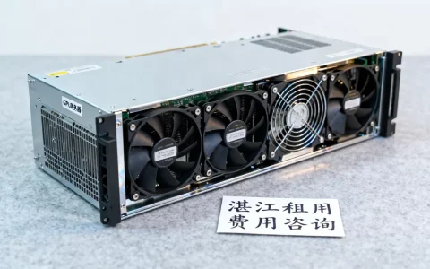 湛江GPU服务器租用费用怎么算？,多少钱一台