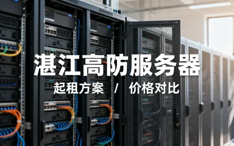 湛江高防服务器怎么起租更划算，哪家便宜？