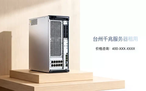 台州千兆服务器租用多少钱