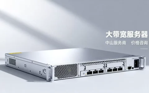 中山大带宽服务器租用价格多少？哪家更便宜？
