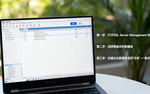 SQL服务器上数据库怎么备份？，备份的具体步骤是什么？