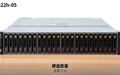 h22h-05服务器怎么看硬盘数量？,怎么查看硬盘