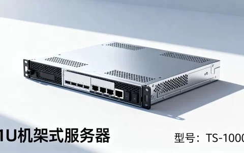 唐山1u机架式服务器多少钱