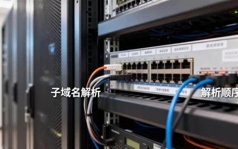 服务器域名你真的了解吗，子域名解析顺序怎么设置？