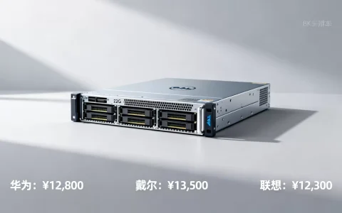 1U服务器32G内存现在多少钱，哪个品牌性价比高？