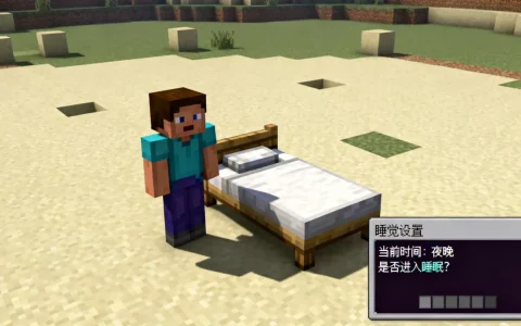 我的世界服务器怎么一个人睡觉呢，怎么设置