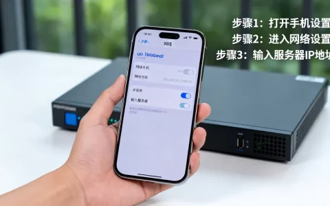 手机怎么使用服务器的IP地址？，怎么设置才正确？