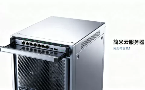 简米云服务器网络带宽1M怎么样