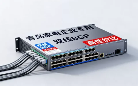 青岛家电企业双线BGP服务器怎么选？哪家性价比高？