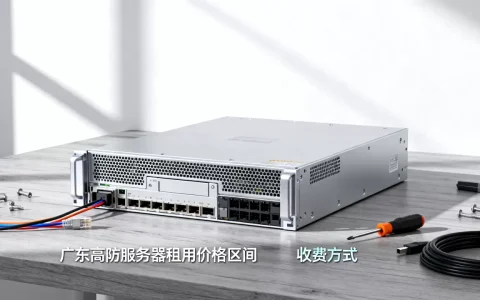 广东高防服务器租用价格区间是多少，怎么收费