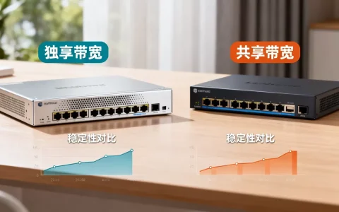 广东大带宽租用到底选独享还是共享，哪个更稳定？