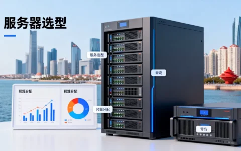 青岛跨境电商服务器选型预算怎么分配更合理，哪家便宜又稳定？