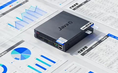 Java服务器一个月多少钱，哪家好？