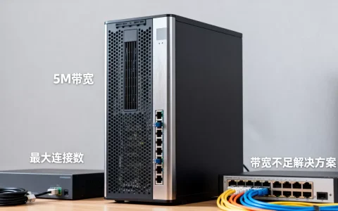 5M独享服务器到底能连接多少人，带宽不够用怎么办？
