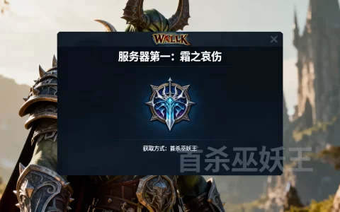 WLK有哪些服务器第一的成就，怎么获得？