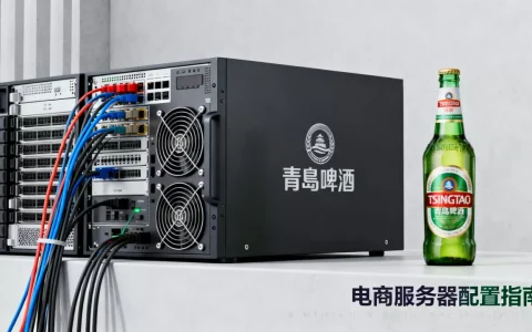 青岛啤酒品牌电商高防服务器怎么配最好，哪个好？
