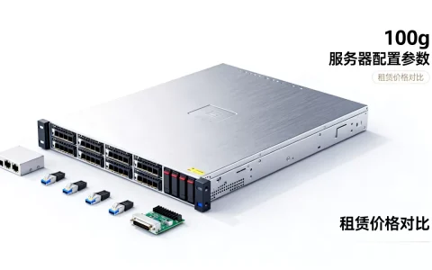 租一个100g服务器需要多少钱，怎么选最划算？