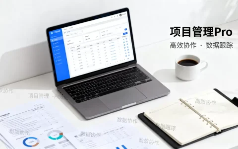 IT项目管理软件与管理软件中心有哪些值得推荐，哪个好？