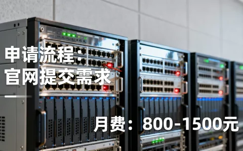 嘉兴大带宽服务器租用怎么申请，多少钱一个月？