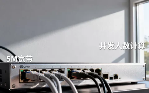 云服务器独享5M宽带能支持多少人？,带宽和人数怎么算？