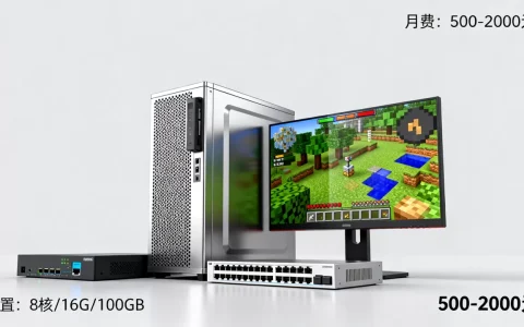 一个好的MC服务器要多少钱，多少钱一个月