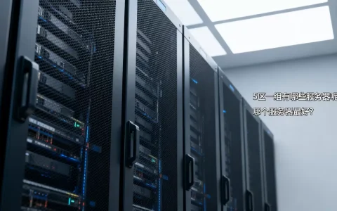 5区一组有哪些服务器呢？，哪个服务器最好？