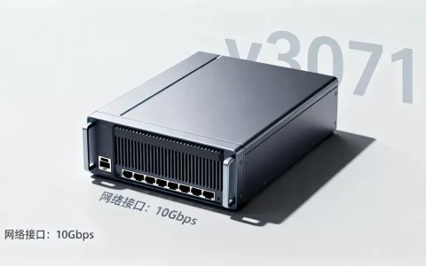 图像网络服务器v3071多少钱，性价比高吗？