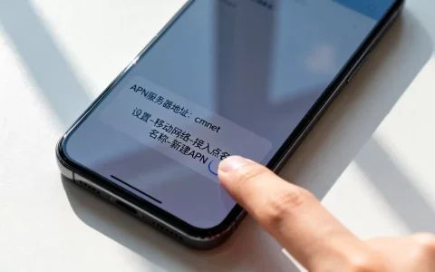 手机APN服务器地址除了114还有哪些，怎么设置？