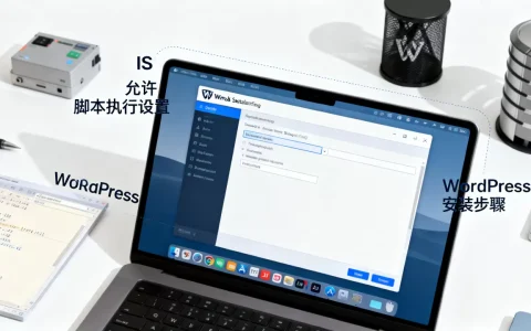 IIS网站如何设置允许脚本执行？WordPress怎么搭建？