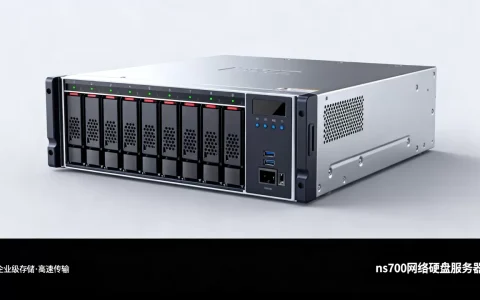 ns700网络硬盘服务器多少钱