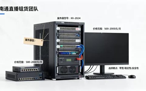 南通直播带货团队租服务器需要多少钱？，怎么选？